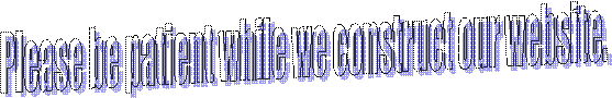 Please be patient while we construct our website.